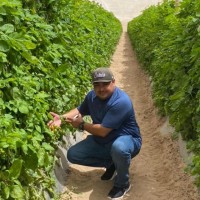 Jose Angel Rosas Soto