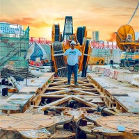 Mohamed Ibrahim