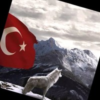 Kemal Sumer