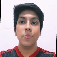 André Luiz da Silva Santos