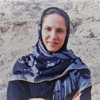N Bashiri