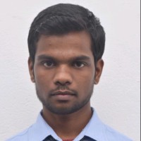 Niranjan Borkar