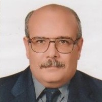 Hesham Kamoun