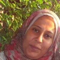 maha fadel