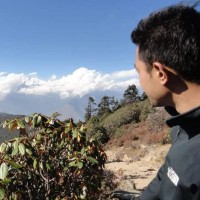 Kushal Basnet