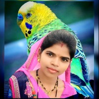 Pamu Shinde