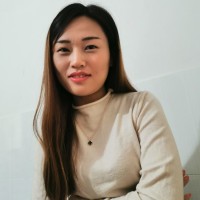 Penny JSDSolar Solar Street Light Peng