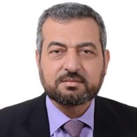 Amer El Sayed