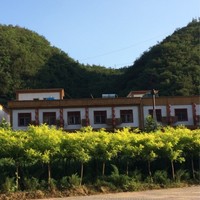王香平