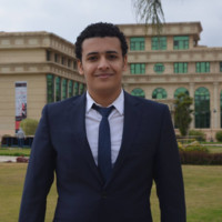 Mohamed Abdel-Mohsen