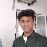 DHANUSH RAMAN