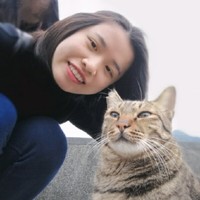 何淑菲