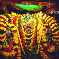 Bharath Mohan