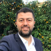 Ozguncem Bozkulak, Phd