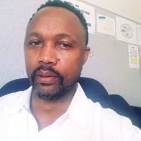 ndumiso mshicileli
