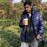 Kaushik Veer