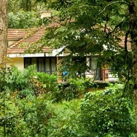 Deepwoods Munnar