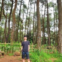 Alfiadi Setiawan