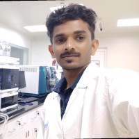 Vignesh Nayak K