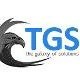TGS WebSoft