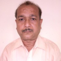 Debashish Sarkar