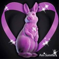 Best Ann Summers Party In Ayrshire