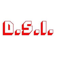D.S.I. Security