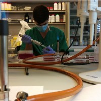 Rafael Alayón Afonso