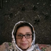 saeedeh ebrahimi bsbi