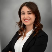 Arij Elwaer