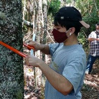 Amaru Gabriel Diaz Besoain