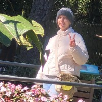 Isaac Rossitto Amorim