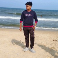 Lokhesh Palanivel