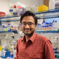 Ashwin Narain, Ph.D.