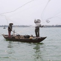 Hoi An Express Executive Tours