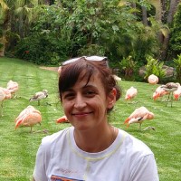 Albena Kriviradeva