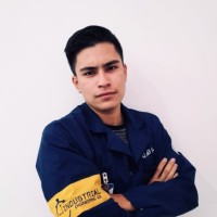 Luis Emmanuel Palacios Nava