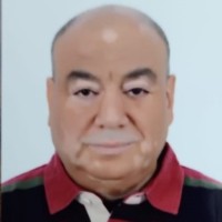 Ahmed Owies