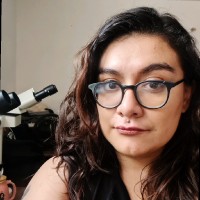 Mariana Tovar Echávarri