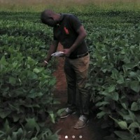 Martin Mkuwamba