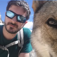 Giulio Prina Ricotti