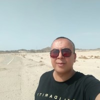 Tamer Mansour
