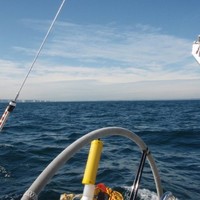 Jennie Sharman MRICS