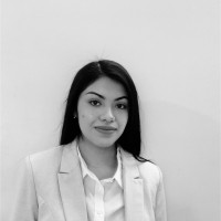Diana Sulemy Diaz Romero