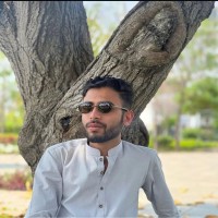 Rafay Ali