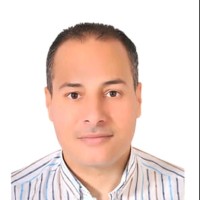 Hisham Abdelhamid Emam