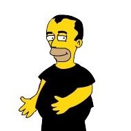 Toon Brinks