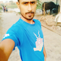 Mittal Kashyap