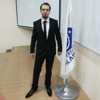 Jameel Al.Shami