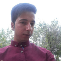 Ali Reza